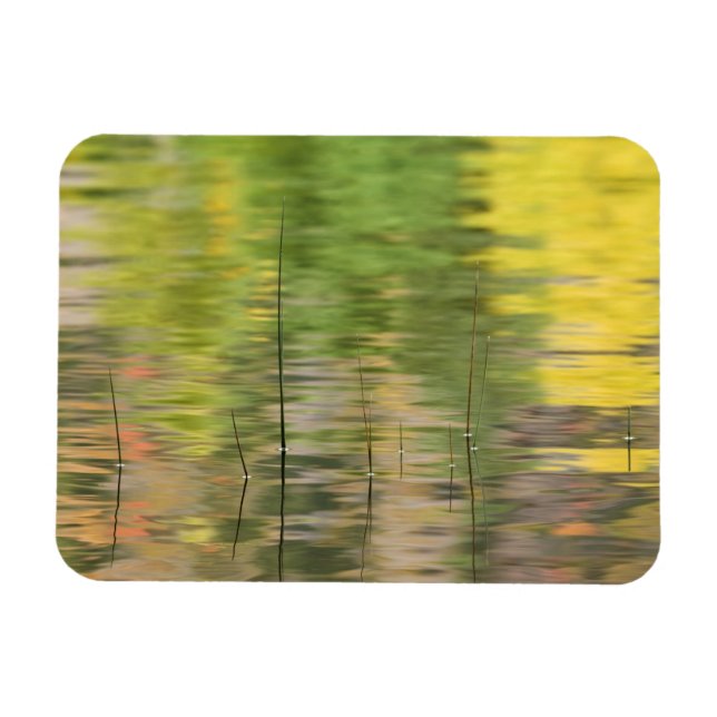 Magnet Flexible États-Unis, New York, Adirondacks, reflets dans l' (Horizontal)