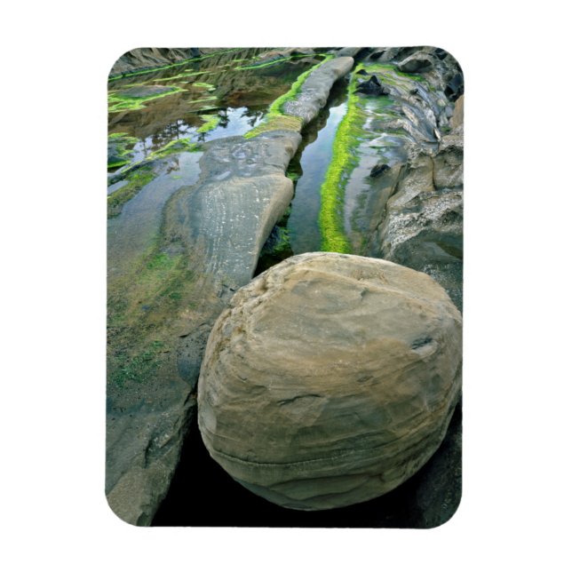 Magnet Flexible États-Unis, Oregon, Shore Acres State Park (Vertical)