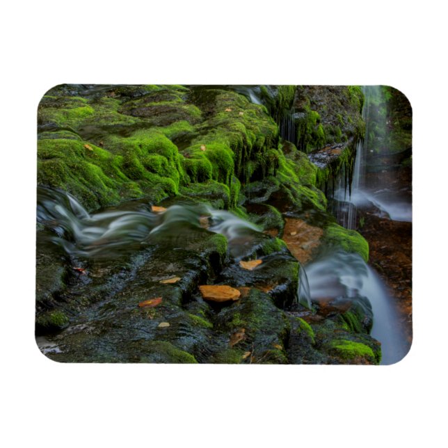 Magnet Flexible États-Unis, Pennsylvanie, Benton, Ricketts Glen St (Horizontal)