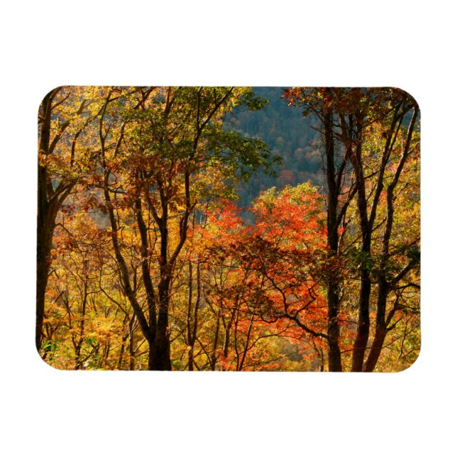 Magnet Flexible États-Unis, Tennessee. Feuillage d'automne (Horizontal)
