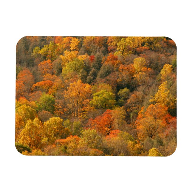 Magnet Flexible États-Unis, Tennessee. Feuillage d'automne 2 (Horizontal)