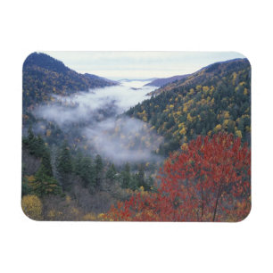 Magnet Flexible États-Unis, Tennessee, Great Smokey Mountains Nati