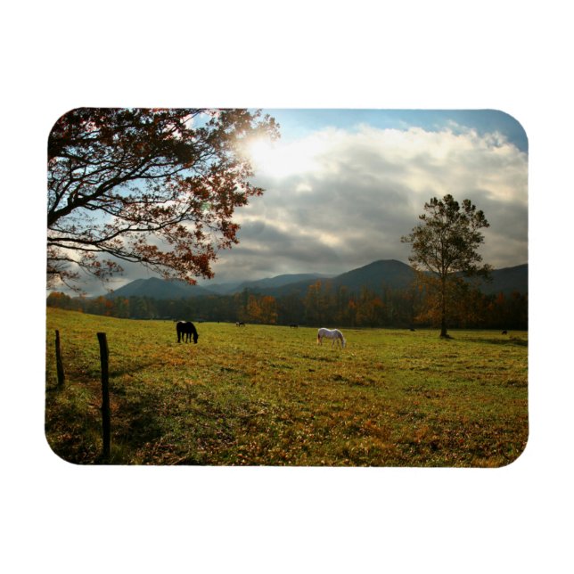 Magnet Flexible États-Unis, Tennessee. Horses in Cades Cove Valley (Horizontal)