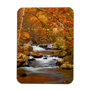 Magnet Flexible États-Unis, Tennessee. Rushing Mountain Creek
