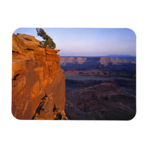 Magnet Flexible États-Unis, Utah, Dead Horse Point SP. Lumière tar