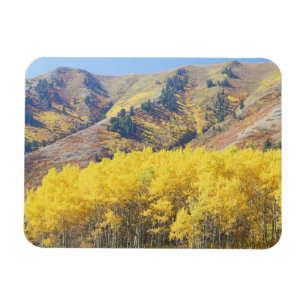 Magnet Flexible États-Unis, Utah, Forêt nationale de Wasatch-Cache