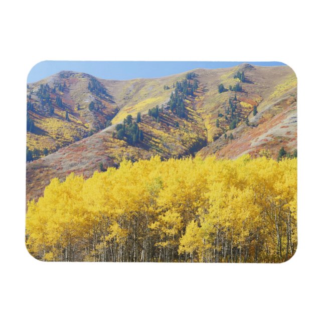 Magnet Flexible États-Unis, Utah, Forêt nationale de Wasatch-Cache (Horizontal)