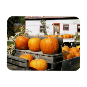 Magnet Flexible États-Unis, Vermont. Citrouilles