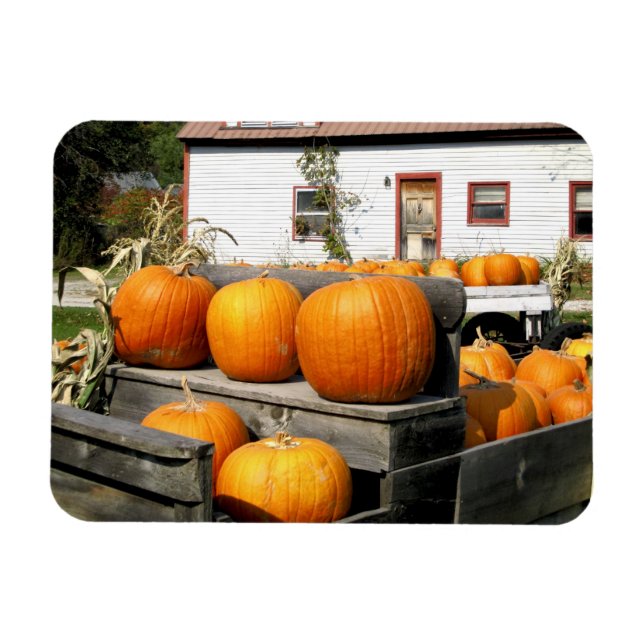 Magnet Flexible États-Unis, Vermont. Citrouilles (Horizontal)