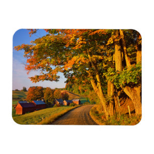 Magnet Flexible États-Unis, Vermont, South Woodstock