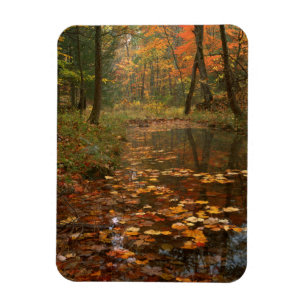 Magnet Flexible États-Unis, Virginie, Automne Dans Douthat State P