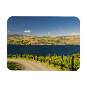 Magnet Flexible États-Unis, Washington, lac Chelan. Vignoble
