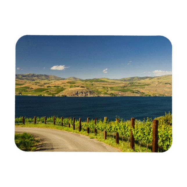 Magnet Flexible États-Unis, Washington, lac Chelan. Vignoble (Horizontal)