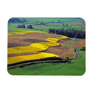 Magnet Flexible États-Unis, Washington, Palouse, comté de Whitman