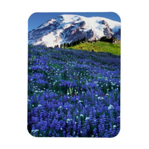 Magnet Flexible États-Unis, Washington, Parc national du mont Rain