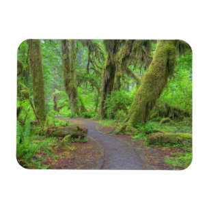 Magnet Flexible États-Unis, Washington, Parc national Olympique, H