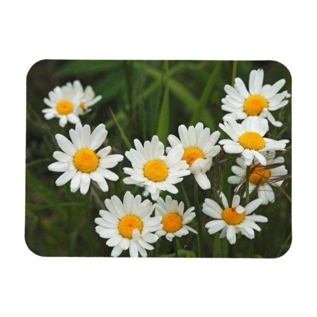 Magnet Flexible États-Unis, Washington, Seattle, Puget Sound 3 (Horizontal)