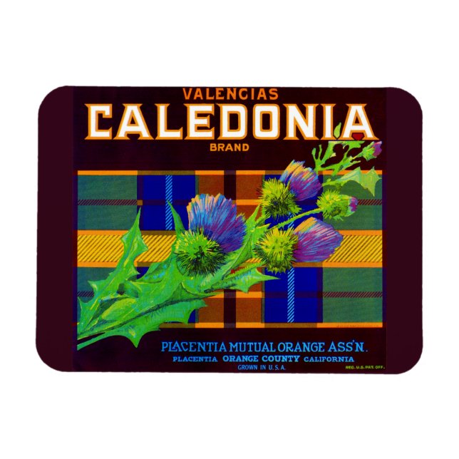 Magnet Flexible étiquette de caisse orange Caledonia 1930 (Horizontal)