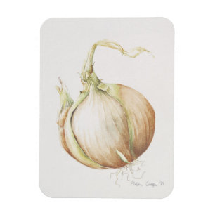 Magnet Flexible Étude 1993 d'oignon