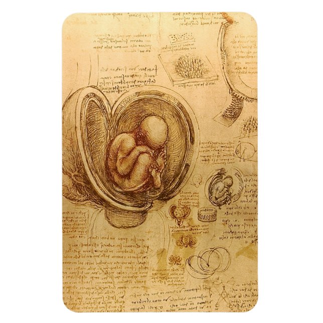 Magnet Flexible Étude du foetus de bébé par Leonardo da Vinci (Vertical)
