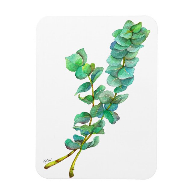 Magnet Flexible Eucalyptus 01 (Vertical)
