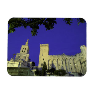 Magnet Flexible Europe, France, Provence, Avignon. Palais des