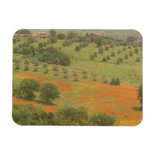 Magnet Flexible Europe, Italie, Toscane, Val D'Orcia, Mont