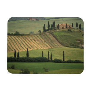 Magnet Flexible Europe, Italie, Toscane, Val d'Orcia, Toscan