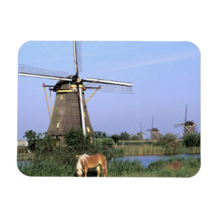 Magnet Flexible Europe, Pays-Bas, Zuid Holland, Kinderdijk. 2