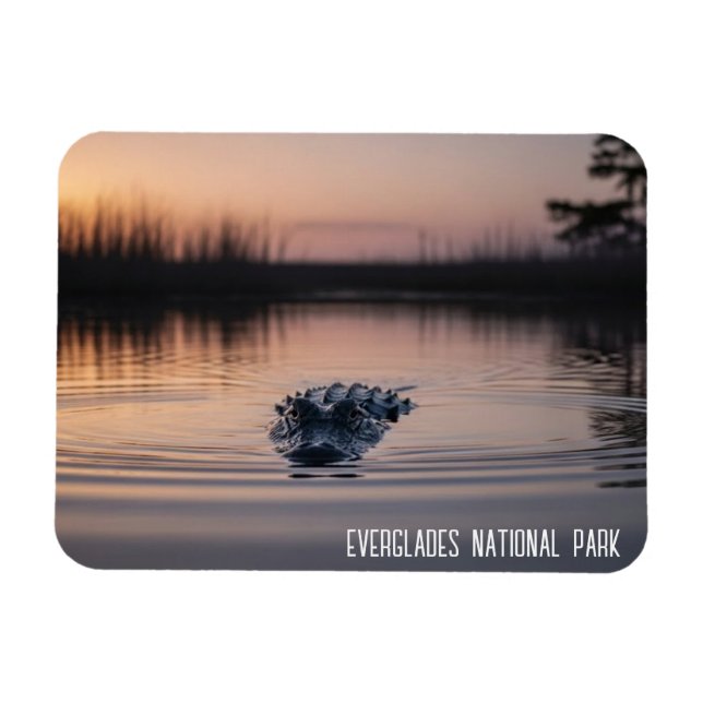Magnet Flexible Everglades Florida Alligator Travel (Horizontal)