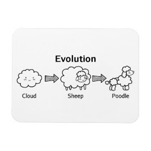 Magnet Flexible Évolution amusante d'un nuage en mouton et caniche