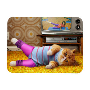 Magnet Flexible Exercice Cat