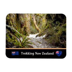 Magnet Flexible Fairy Jungle, Kiwi trekking /Nouvelle-Zélande