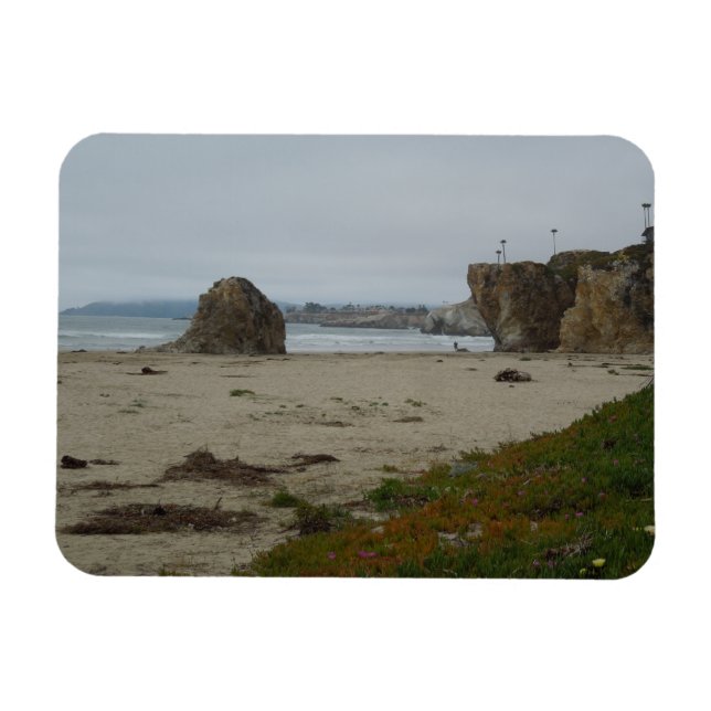 Magnet Flexible Falaises Le Long De La Plage De Pismo (Horizontal)