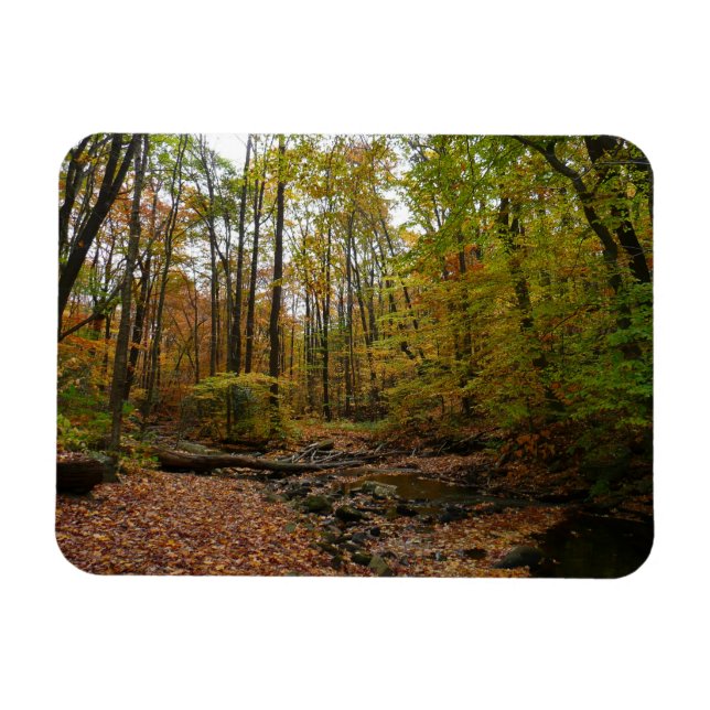 Magnet Flexible Fall Creek à Laurel Hill State Park Pennsylvania (Horizontal)