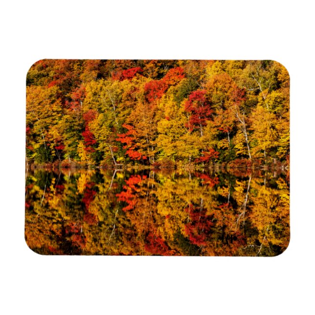 Magnet Flexible Fall Reflection on Russell Pond | New Hampshire (Horizontal)