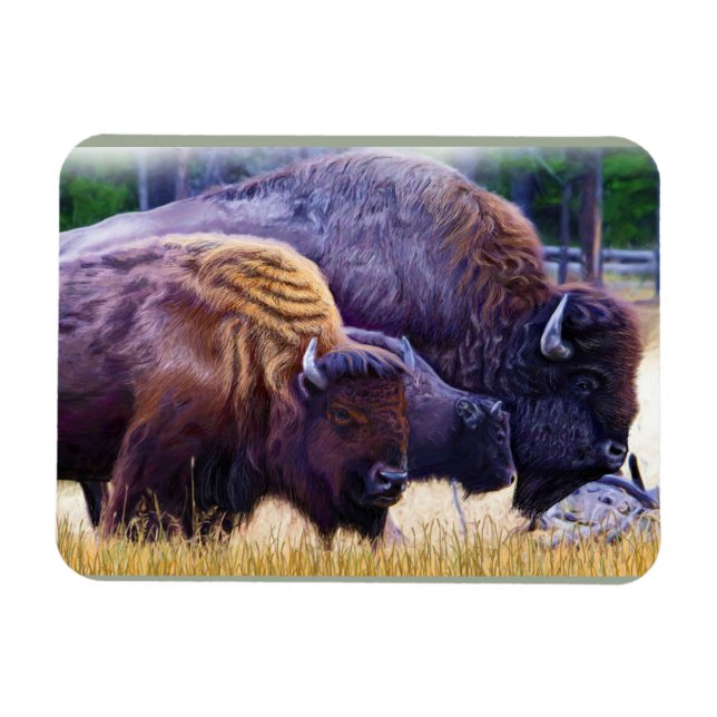Magnet Flexible Famille American Bison (Horizontal)