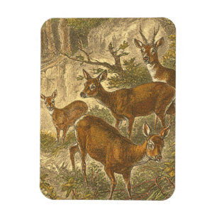 Magnet Flexible Famille des oeufs de poisson - cerfs communs dans