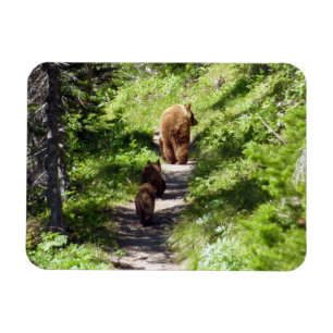 Magnet Flexible Famille d'ours Brown