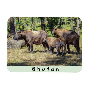Magnet Flexible Famille Takin, animal national du Bhoutan, Asie