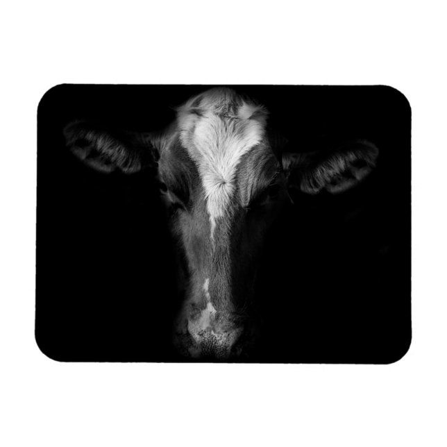 Magnet Flexible Farms | B&W Cow Head Shot (Horizontal)