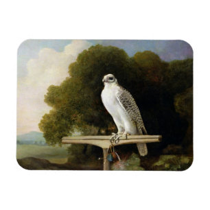 Magnet Flexible Faucon du Groenland (faucon gris), 1780 (huile sur