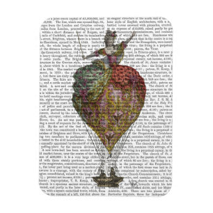 Magnet Flexible Femme de ballon à air chaud 3