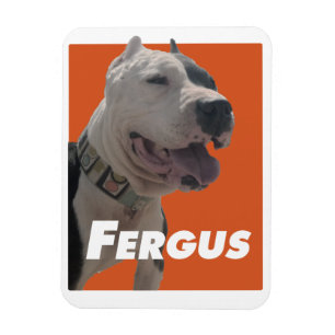 Magnet Flexible Fergus que les coiffeurs poursuivent