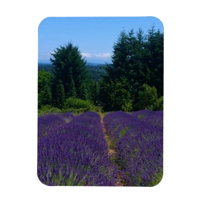 Magnet Flexible Ferme de Lavender (Vertical)