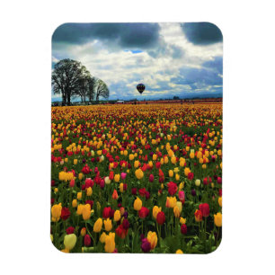 Magnet Flexible Ferme de Tulip en Oregon