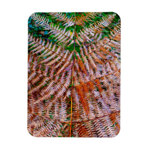 Magnet Flexible Fermes des bois
