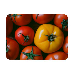 Magnet Flexible Fermes Tomates rouges et jaunes brillantes