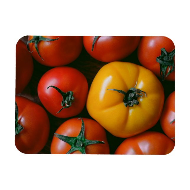 Magnet Flexible Fermes | Tomates rouges et jaunes brillantes (Horizontal)