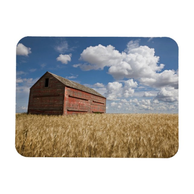 Magnet Flexible Fermes | Vielle grange rouge en champ de blé (Horizontal)